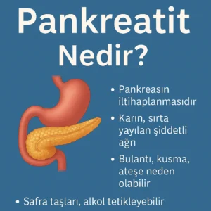 Pankreatit Nedir? Belirtileri, Nedenleri ve Tedavi Yöntemleri