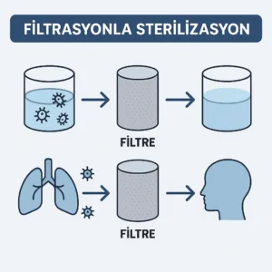 🧫 Filtrasyonla Sterilizasyon Nedir? – Ders Notu, Konu Anlatımı ve Sık Sorulan Sorular Rehberi