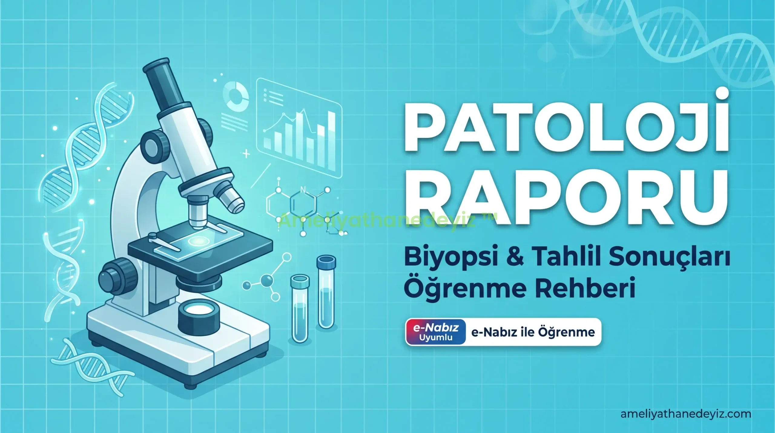 Patoloji Sonucu Kaç Günde Çıkar? e-Nabız Patoloji Sonucu Öğrenme Rehberi
